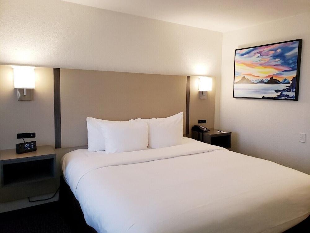 Comfort Inn San Diego Miramar מראה חיצוני תמונה