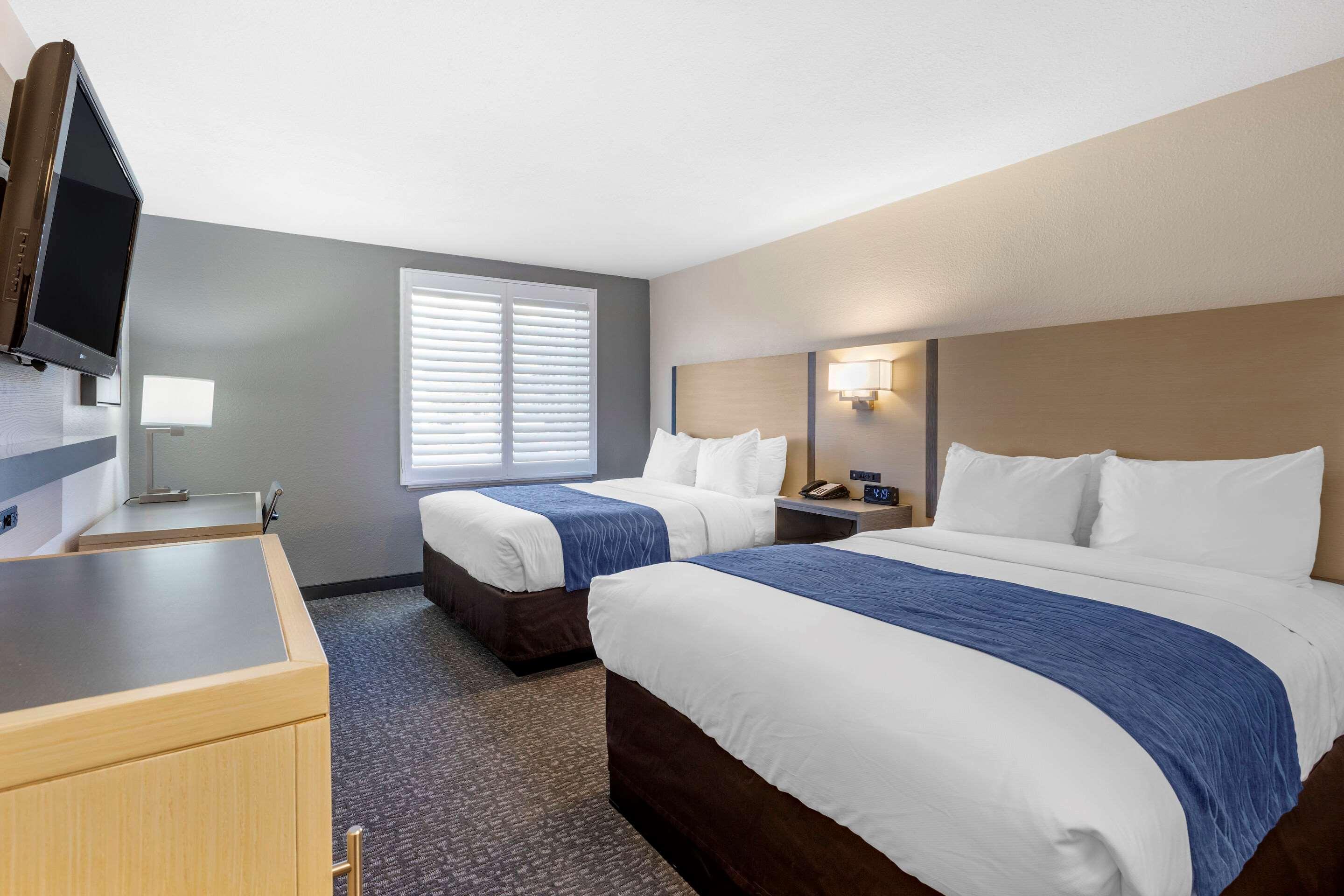 Comfort Inn San Diego Miramar מראה חיצוני תמונה